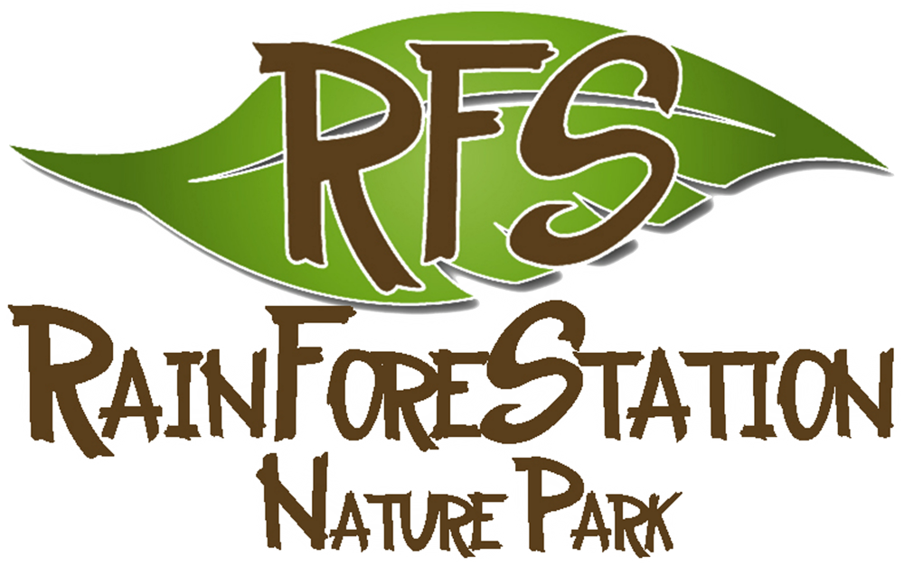 Rainforestation