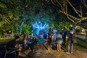 events in cairns
